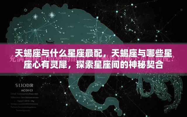 天蝎座最佳配对星座与心有灵犀的探索,星座间神秘契合的奥秘