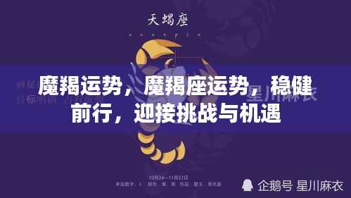 魔羯运势,魔羯座运势,稳健前行,迎接挑战与机遇