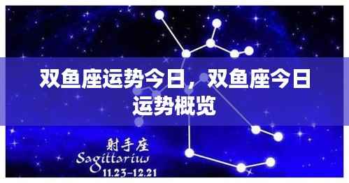 双鱼座今日运势概览分析
