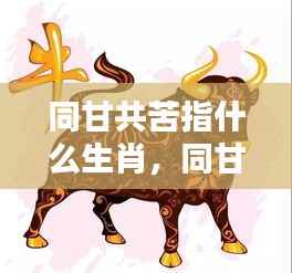 生肖中的坚韧与团结,同甘共苦的精神与携手前行之路