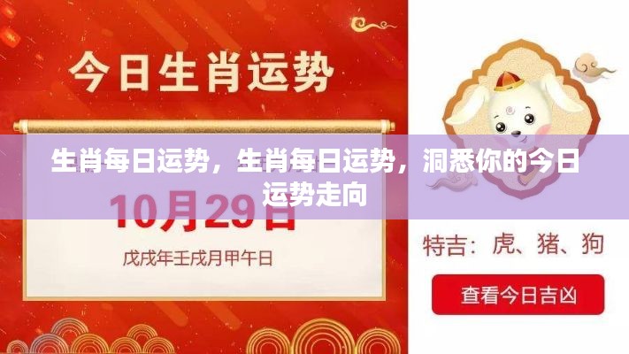 今日生肖运势解析,洞悉你的运势走向