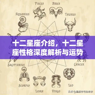 十二星座深度解析,性格特征与运势展望