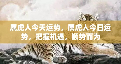属虎人今日运势,把握机遇,顺势而为的运势走向