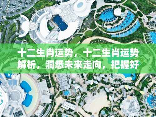 十二生肖运势深度解析,洞悉未来,把握好运之门