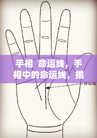 手相命运线,揭示人生轨迹的神秘线索