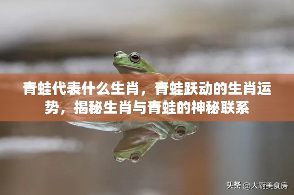 揭秘青蛙代表的生肖与神秘运势联系，生肖与青蛙跃动的奥秘探索