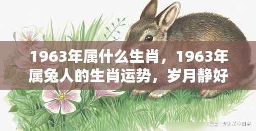 岁月静好,揭秘属兔人在1963年的生肖运势与机遇挑战并存的一年