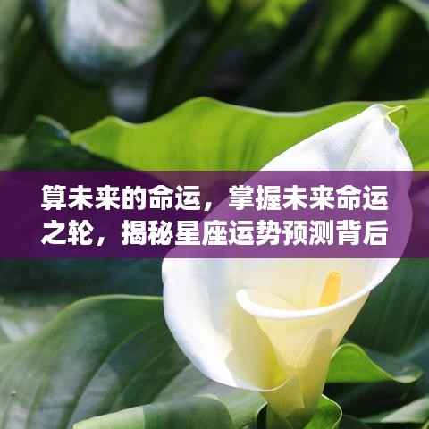 揭秘星座运势预测背后的深层含义,掌握未来命运之轮,预测未来命运走向