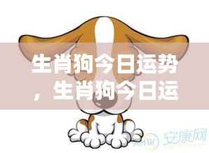 生肖狗今日运势,生肖狗今日运势