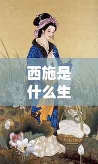 探寻西施的生肖与星宿运势,古代美人西施的生肖之谜揭秘
