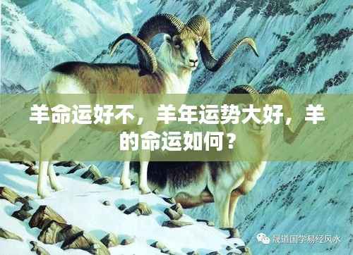 羊年运势旺盛,羊的命运走向解析