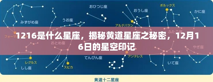 揭秘黄道星座之谜,12月16日的星空印记,探寻属于你的星座命运