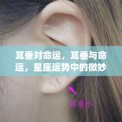 耳垂与命运,星座运势中的微妙联系探究