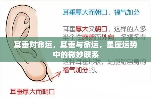 耳垂与命运,星座运势中的微妙联系探究