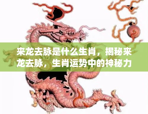 来龙去脉揭秘,生肖运势中的神秘力量