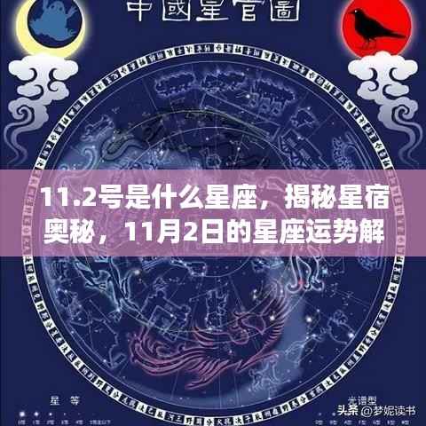 揭秘星宿奥秘,揭秘星座运势解读与星座性格分析之星座篇(11月2日篇)