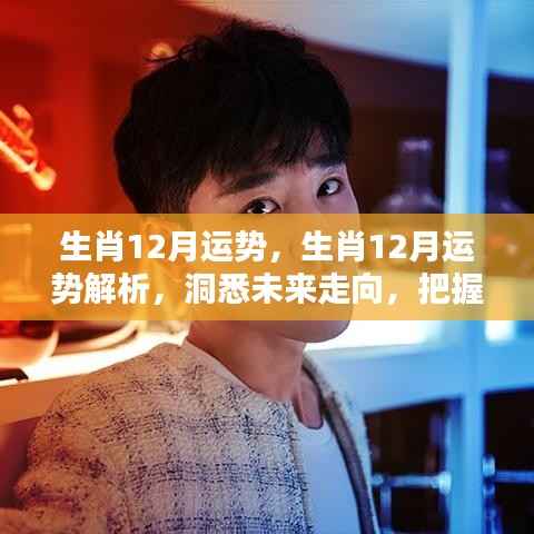 生肖运势解析,洞悉未来走向,把握好运关键之生肖十二月运势展望