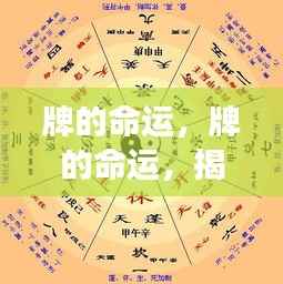 揭秘星座运势的神秘力量,掌握牌的命运之道