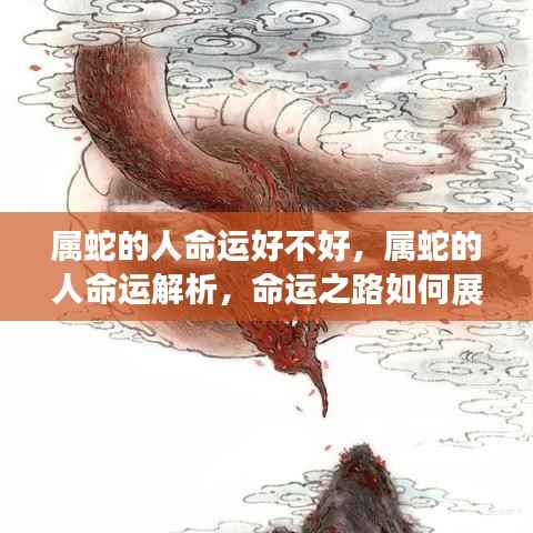 属蛇人的命运详解,命运之路、运势展望与解析