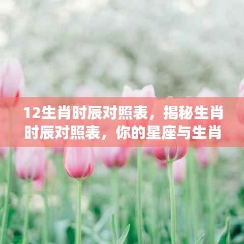 揭秘生肖时辰对照表,星座与生肖的交相辉映之道