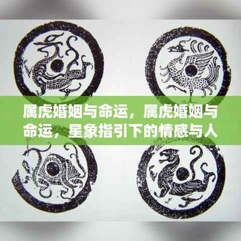 属虎婚姻与命运,属虎婚姻与命运,星象指引下的情感与人生旅程