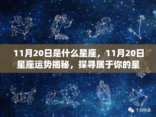 揭秘11月20日星座运势与星辰轨迹,探寻属于你的星座奥秘
