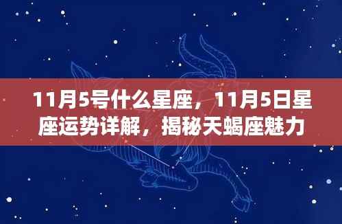 揭秘天蝎座魅力背后的秘密,11月5日星座运势详解与星座特征探寻