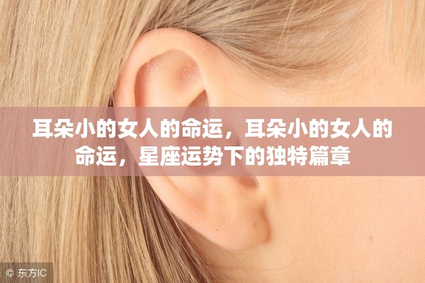 难得可贵 第2页