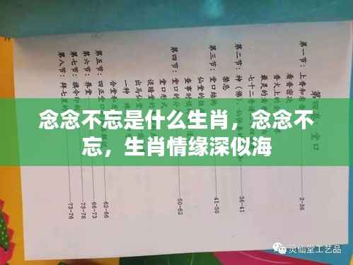 念念不忘的生肖情缘,深情如海,缘分难解