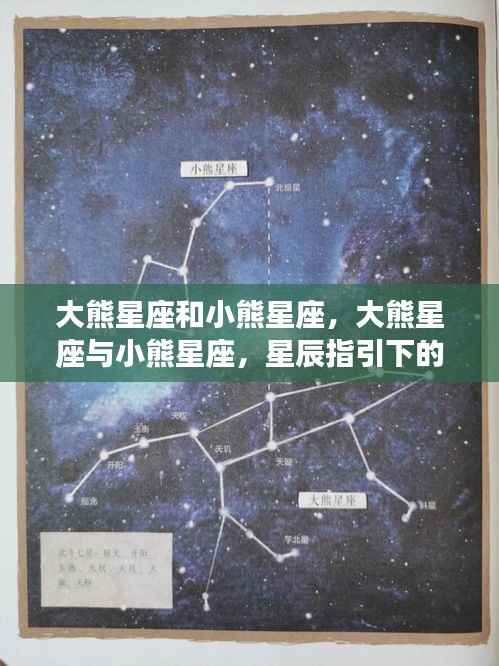 大熊星座与小熊星座,星辰指引的运势探索