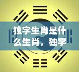 揭秘独字生肖,独特星座运势解析