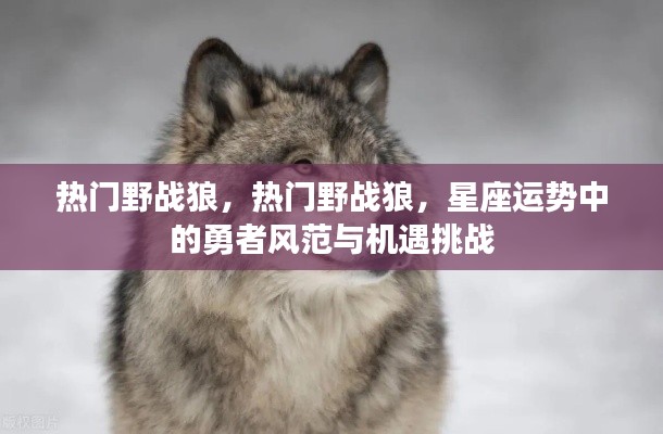 热门野战狼,星座运势展现勇者风范与机遇挑战