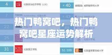 热门鸭窝吧星座运势解析揭秘