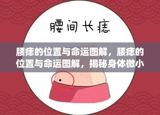 腰痣位置揭示命运密码,图解腰痣与命运关联的秘密