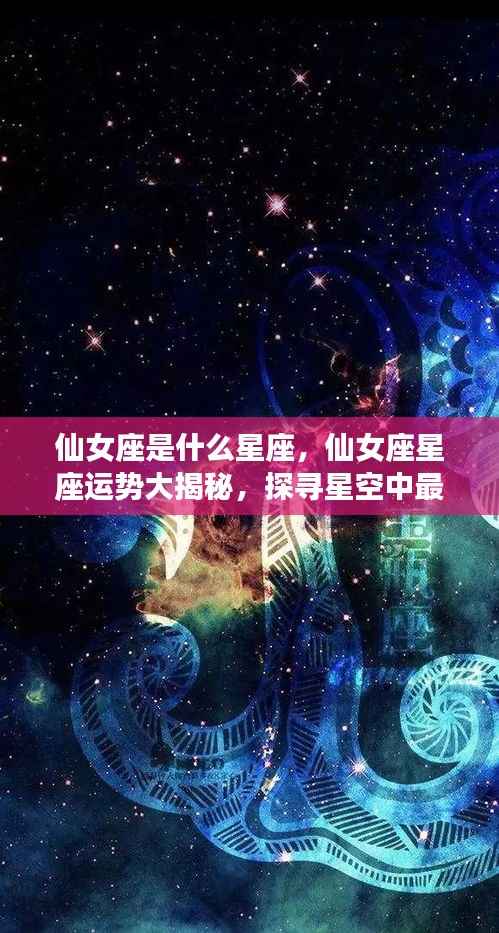 揭秘仙女座星座,探寻星空中最神秘的星座魅力与运势展望