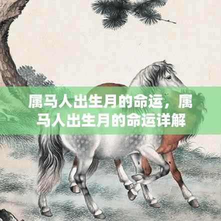 地老天荒 第4页