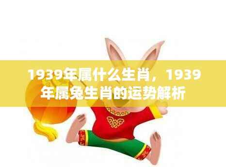 1939年属兔运势解析,生肖兔的运势与命运探索