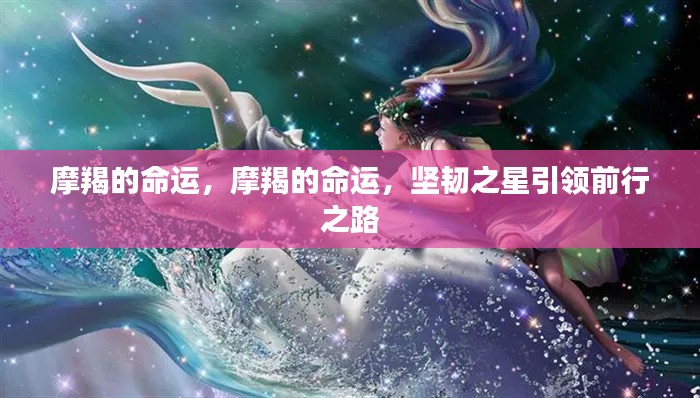 摩羯命运揭秘,坚韧之星领航前行之路