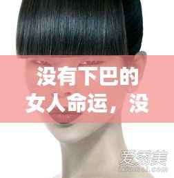 晋惠闻蛙 第4页