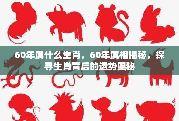 探寻生肖奥秘,揭秘属鼠人的运势秘密(60年属相深度解析)