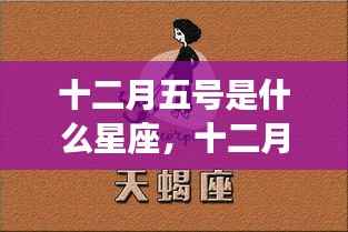 十二月五号星座运势解析,探寻星座运势,洞悉未来走向