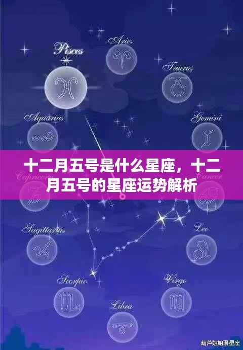 十二月五号星座运势解析,探寻星座运势,洞悉未来走向