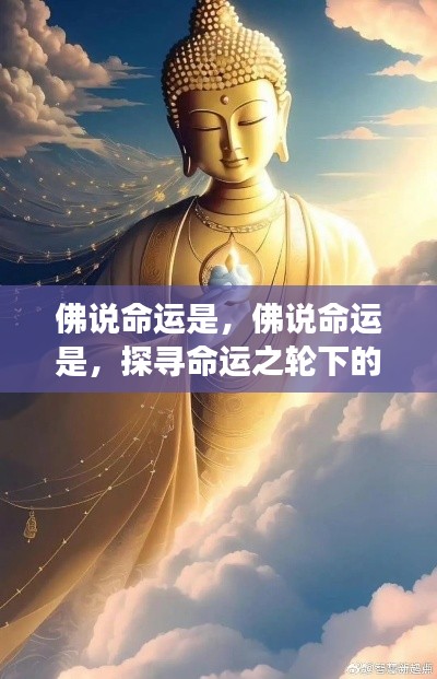 佛说命运,多重解读下的命运之轮探寻