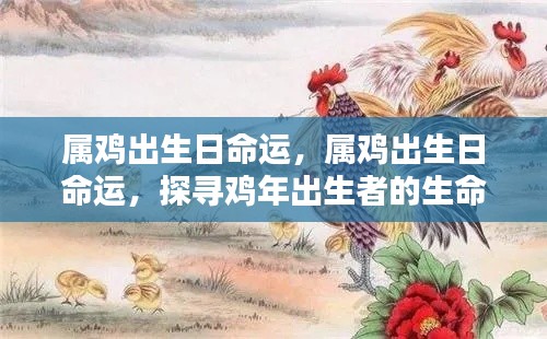 鸡年出生者的命运轨迹探索,出生日命运解析
