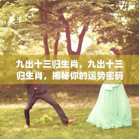 揭秘生肖运势密码,九出十三归生肖解析与预测