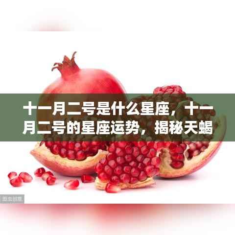 雍容典雅 第4页