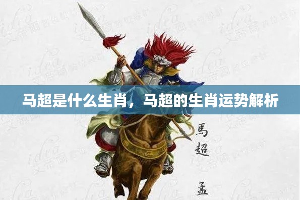 马超的生肖及运势解析