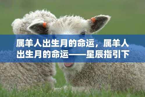属羊人出生月的命运详解,星辰指引下的生命轨迹