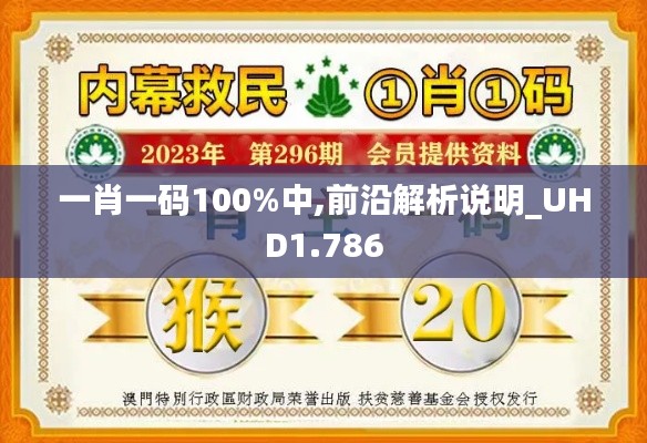 一肖一码100%中,前沿解析说明_UHD1.786