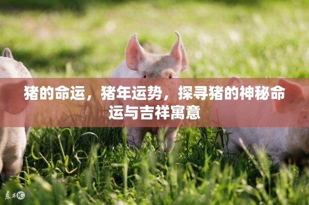 行将就木 第3页